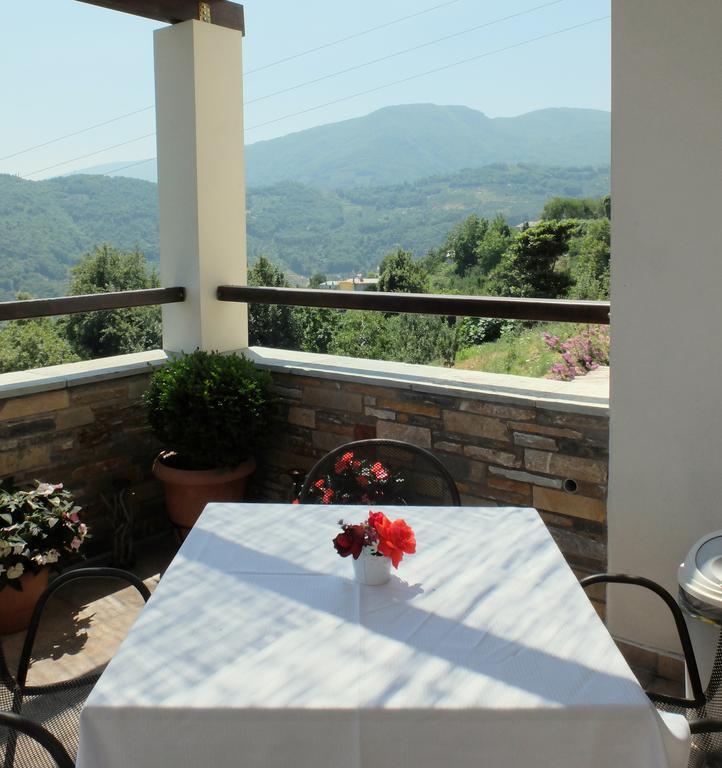 Guesthouse Kapaniaris Загора Екстериор снимка