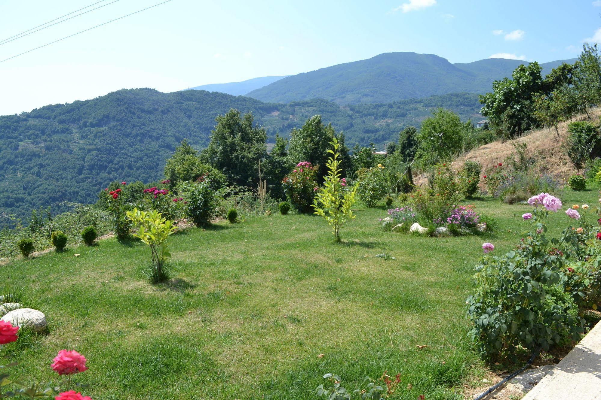 Guesthouse Kapaniaris Загора Екстериор снимка